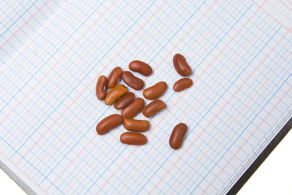 stock image Dried Beans on Blank Accounting Ledger Book, Bean Counter