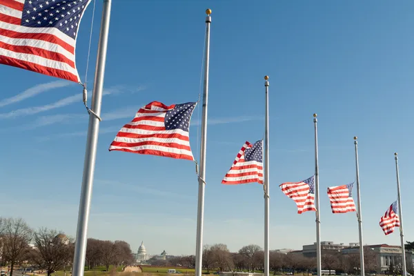 Fila banderas americanas medio mástil Washington DC EE.UU. —  Fotos de Stock