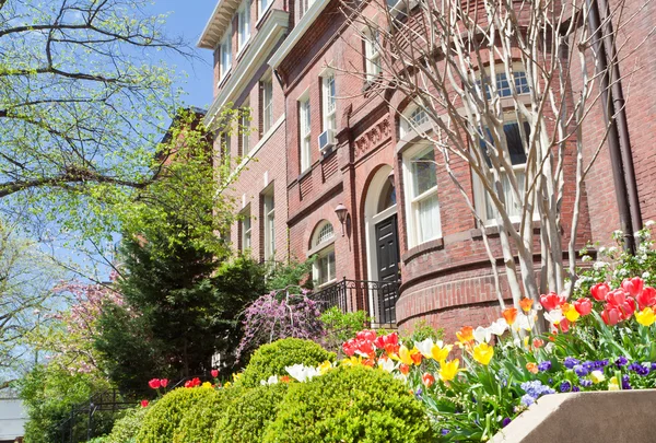 Spring Flowers Richardsonian Romanesque Row Houses — Stock Photo, Image