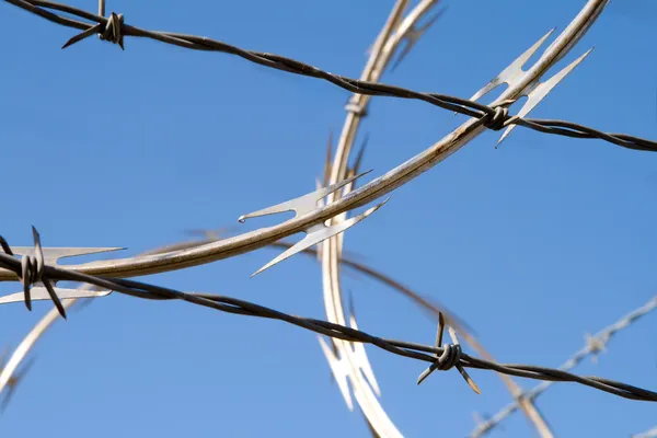Barbed Wire Razor Sharp Security Fence Dangerous — Stock Photo, Image