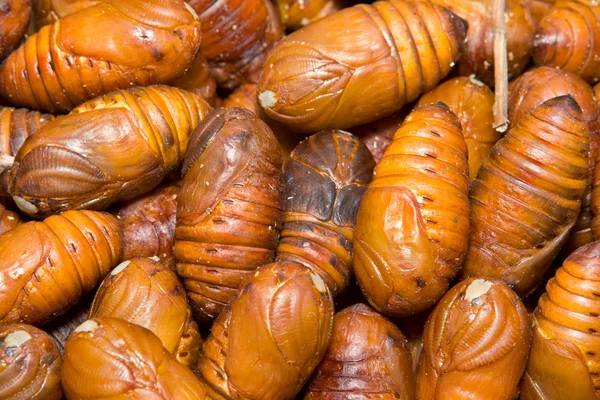 stock image Full Frame Close-Up Heap Moth Pupae Larva