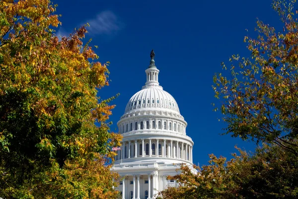 Capitólio edifício emoldurado Outono folhagem Washington DC, polarizado — Fotografia de Stock