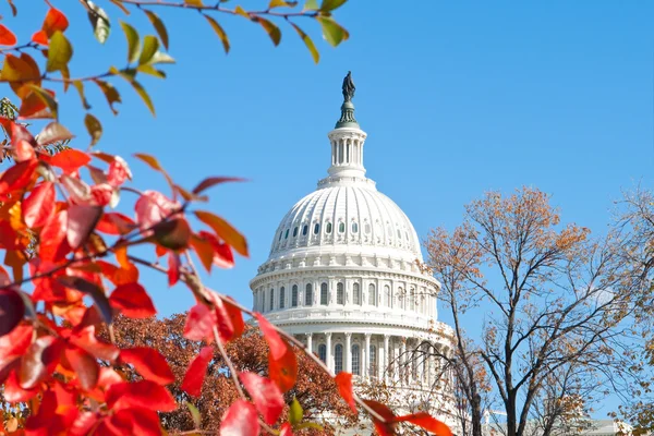 Outono no Edifício da Capital dos EUA Washington DC Red Leaves — Fotografia de Stock