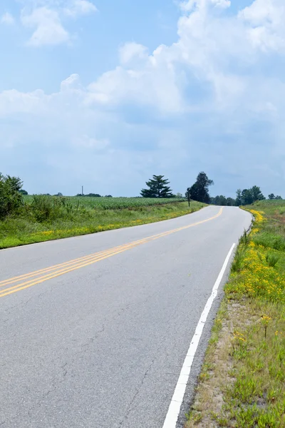 左側の垂直方向の曲線の国道路大豆畑 — ストック写真