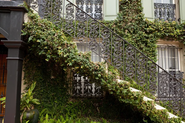 Bluszcz objęte schody poza domu savannah Gruzja kutego żelaza — Zdjęcie stockowe