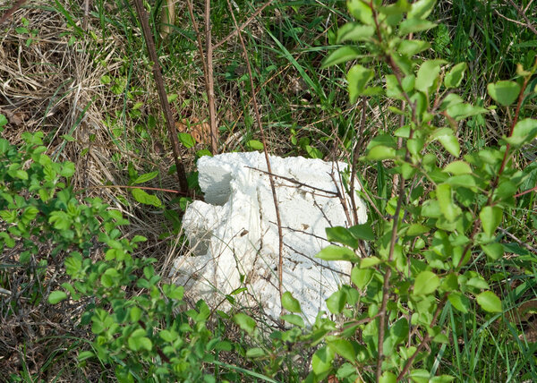 Chunk of Styrofoam in Brush and Weeds Littering Pollution Theme