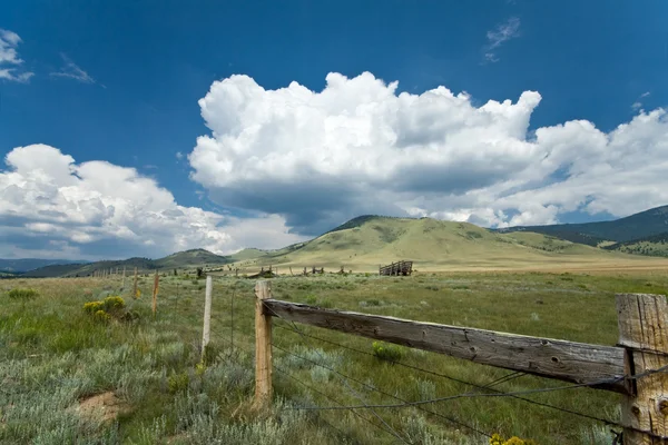 Alpská louka zakletém kruhu Nové Mexiko mrak hill dobytek fenc — Stock fotografie