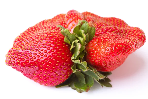 Närbild färska röda jordgubb — Stockfoto