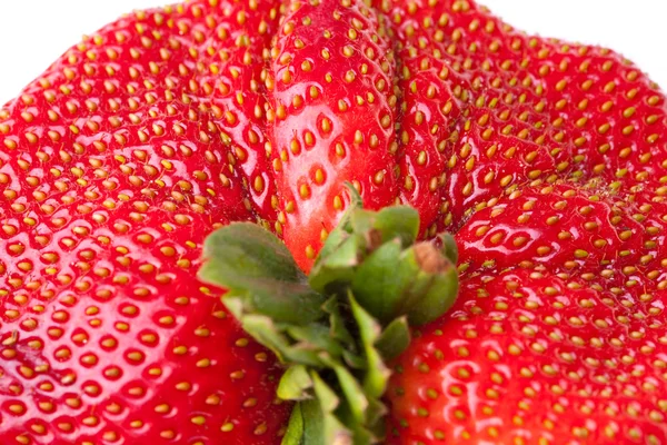 Macro Closeup Full Frame Fresh Red Strawberry — Zdjęcie stockowe