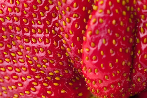 Macro gros plan plein cadre fraise rouge fraîche — Photo