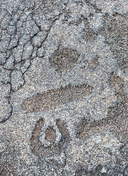 Petroglifo — Fotografia de Stock