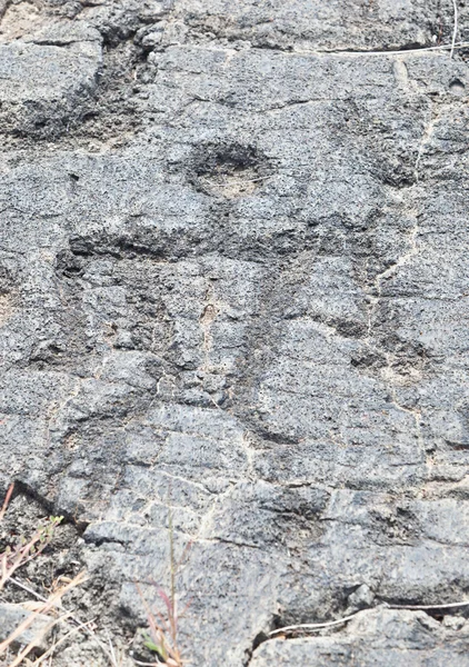 Petroglyphe — Stockfoto