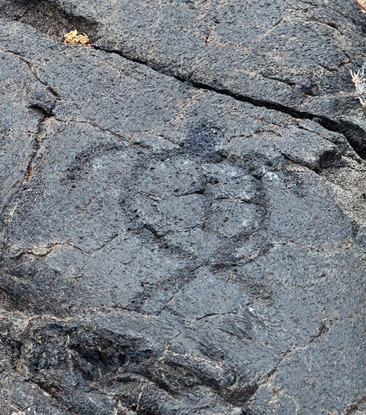 Petroglif — Stok fotoğraf