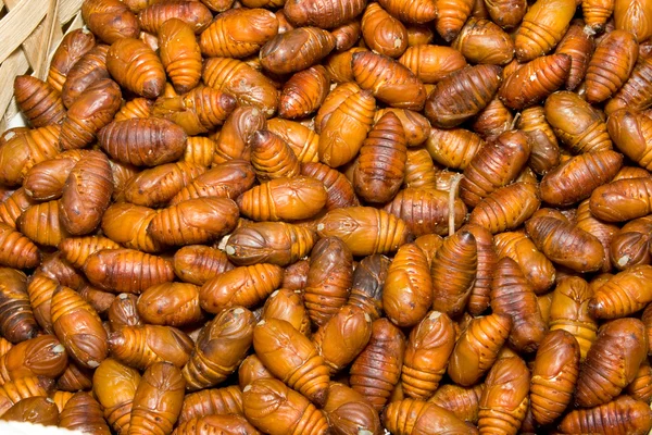 Primer plano montón de gusano de seda Pupae Bombyx Mori Larva Imagen de archivo