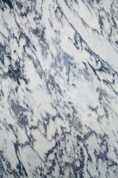 XXXL full svart och vit marmor Regelvägg Stockbild