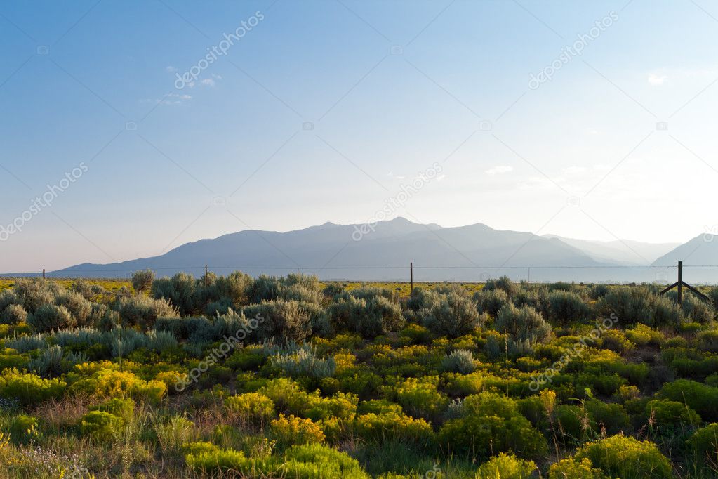 High Desert Sangre De Cristo Mountains NM USA