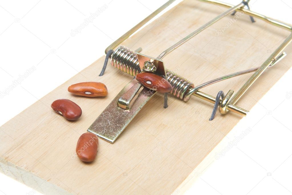 Mousetrap Baited with Beans, Accounting Joke, Isolated Backgroun