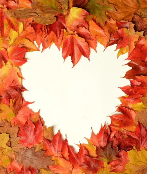 stock image Heart of the leaves