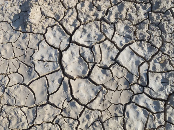 stock image Drained earth