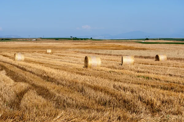 stock image Balls of hay