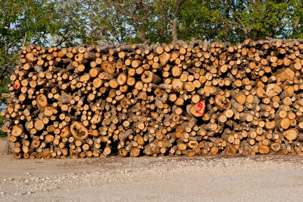 Складные бревна дров — стоковое фото