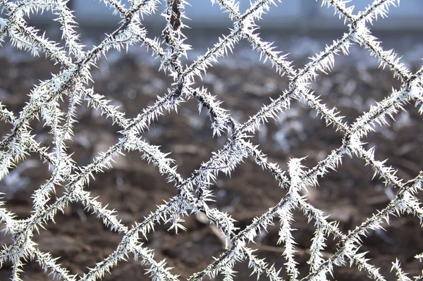 Cristais de gelo em uma cerca de rede — Fotografia de Stock