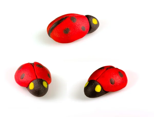 stock image Lady Bugs