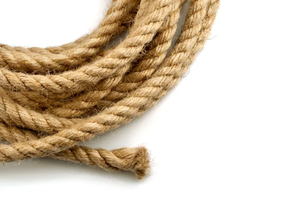 Espinha de corda — Fotografia de Stock