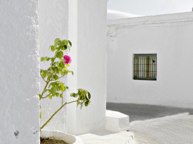 Unique white andalusian village clipart