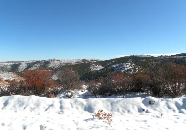 Snowed blue skied landscape — Stock Photo, Image