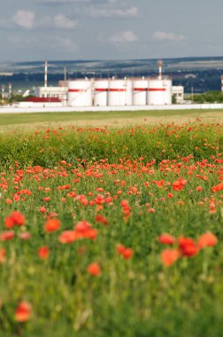 Petrol Depolama haşhaş Field