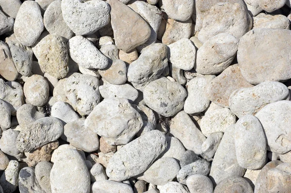 Tekstur kerikil batu kapur — Stok Foto