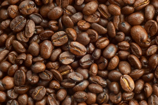 Coffe beans texture — Stock Photo, Image