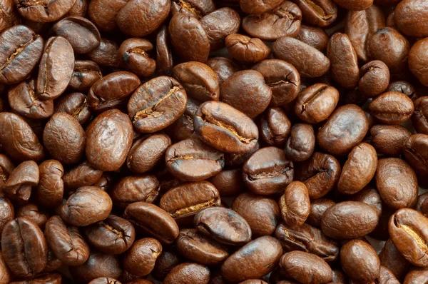 Coffe beans texture 2 — Stock Photo, Image