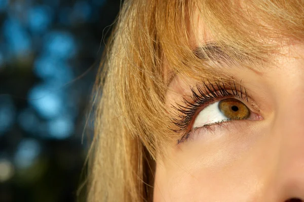 Blond girl's eye closeup — Stock Photo, Image