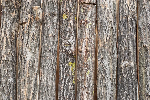 Ağaç kabuğu dikey levhaların — Stok fotoğraf
