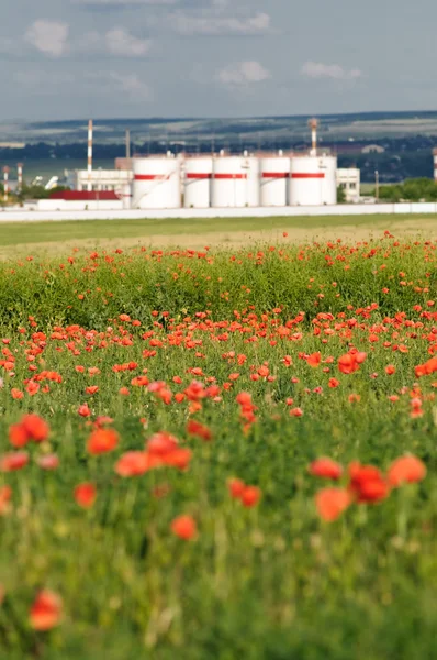 stock image Oil storage at poppy field