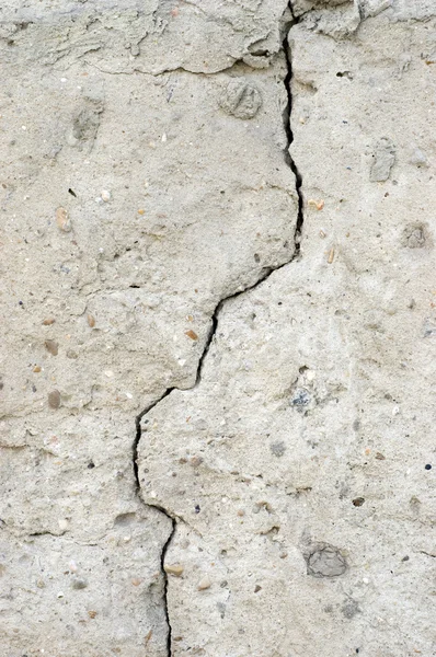 Texture de paroi calcaire — Photo