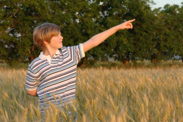 Rapaz no campo de trigo — Fotografia de Stock