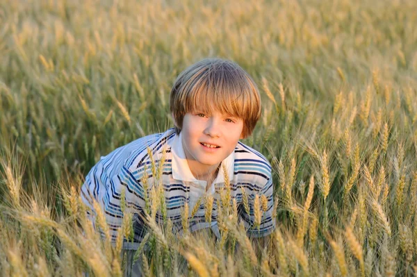 Pojke på fältet vete — Stockfoto