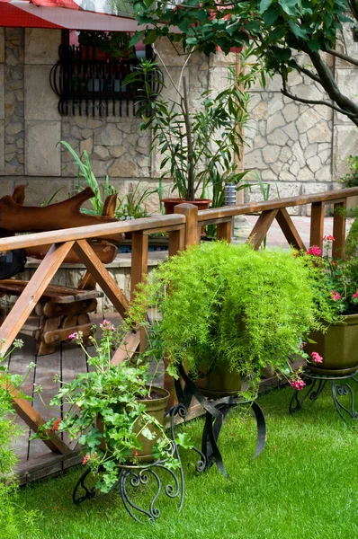 Café ao ar livre com muitas plantas verdes — Fotografia de Stock