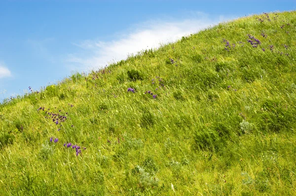 緑の丘 — ストック写真