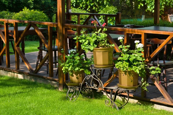 Otevřít air café s mnoha zelených rostlin — Stock fotografie