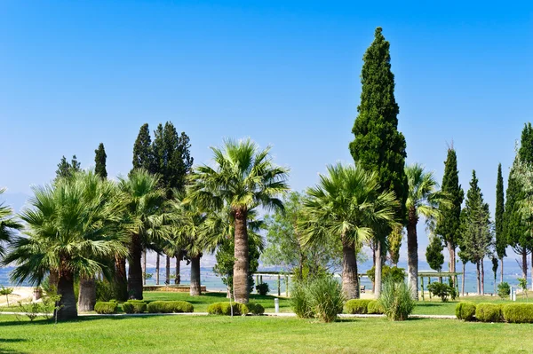 stock image Pamukkale resort, Turkey