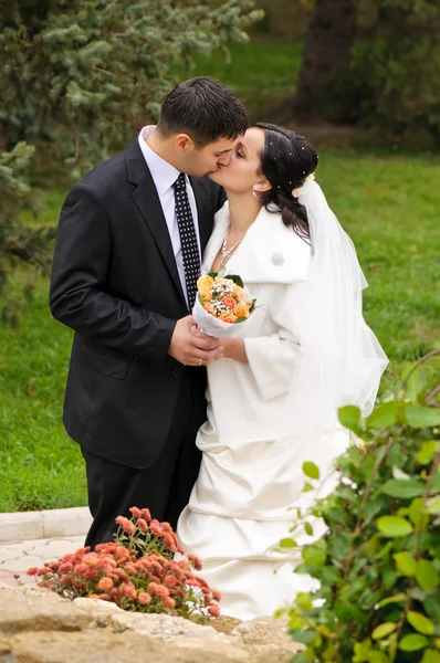 stock image Just married couple