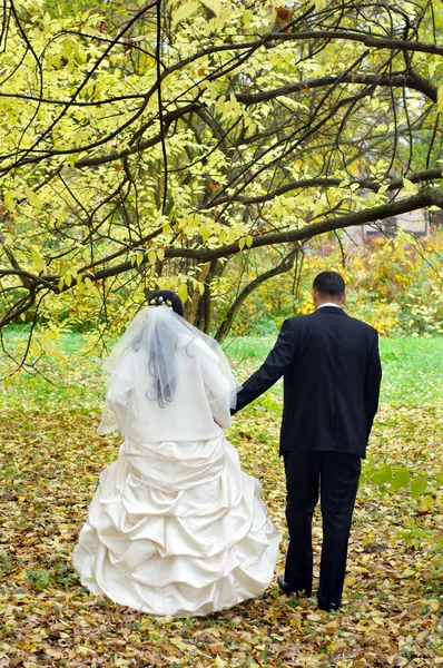 stock image Just married couple