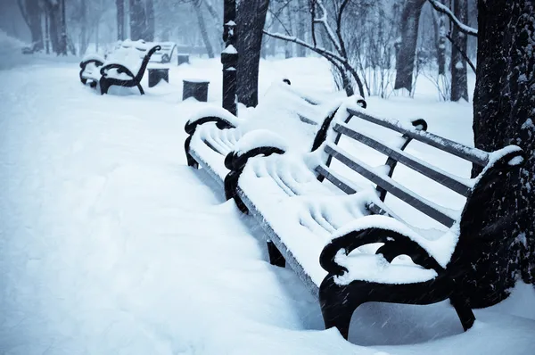 Bancos nevados no parque de inverno — Fotografia de Stock