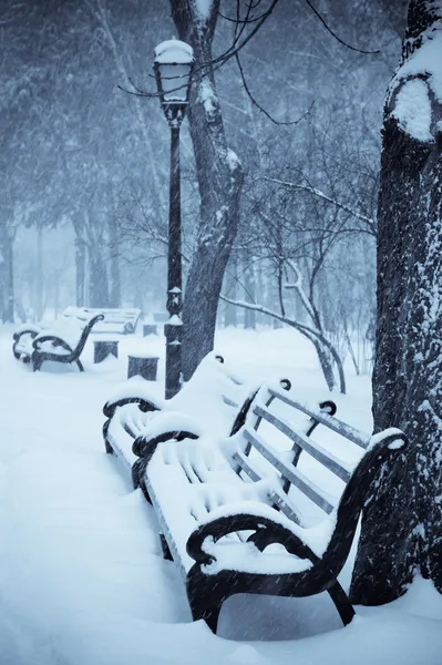 Скамейки в зимнем парке — стоковое фото