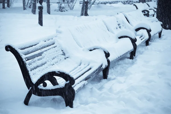 Скамейки в зимнем парке — стоковое фото
