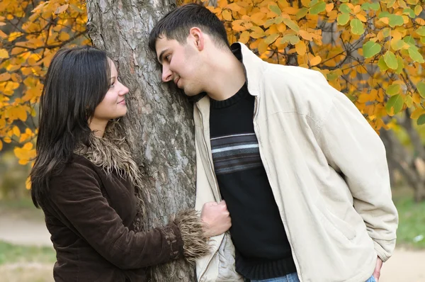 stock image Fall in love